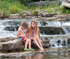 Summer Breeze photo
